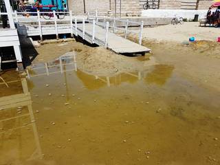 Trani e la pedana per disabili che finisce in acqua, Tolomeo (Pd): «Mancanza di idee e programmazione»