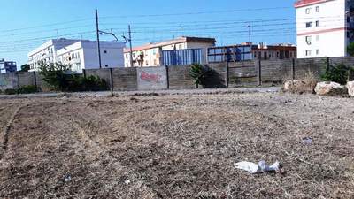 Via Giachetti, dopo l'incendio il Comune di Trani fa arare i terreni