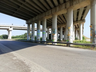 Trani, in corso interventi di decespugliamento in diverse zone della città