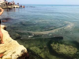 «Quelle chiazze ogni giorno alla stessa ora, adesso basta!»: Trani, i bagnanti di Marechiaro chiedono aiuto alla Guardia costiera