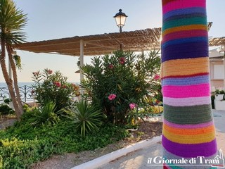 Palme fasciate con colori sgargianti: il lungomare di Trani cambia ispirandosi, anche, ai Caraibi