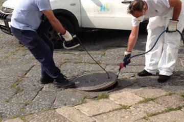 Trani, concluso il quarto intervento di deblattizzazione della fogna bianca. Mercoledì, disinfestazione