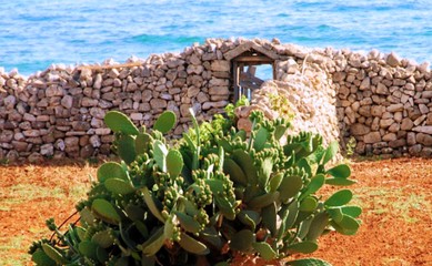 “Passeggiando tra i paesaggi geologici della Puglia”: c’è tempo fino al 30 settembre per partecipare al concorso fotografico