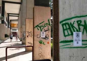 Presunti casi di avvelenamento di animali a Trani, l’amministrazione organizza controlli con vigili e guardie Oipa