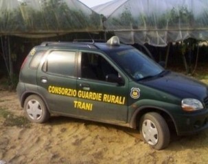 Scende in campo il prefetto, tregua dei sindacati: revocato lo sciopero delle Guardie rurali di Trani previsto oggi