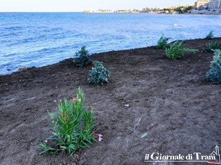 Lungomare di Trani, dal degrado al verde irrigato: cambia il colpo d'occhio allo sbocco dei collettori alluvionali