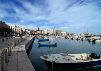 Porto, nuovi confini fra Comune di Trani e Demanio: incarico a professionista esterno