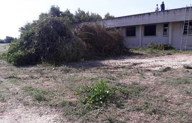 Trani, bonificata l'area del rudere di corso don Luigi Sturzo