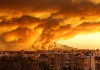 Incendio del Monte Serra, già 700 sfollati: nuovo dramma, oggi, là dove morì l'aspirante guardiamarina di Trani Claudio Giordano