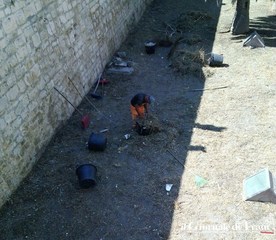 Estate di Trani, anche il castello si è fatto bello: impegno di spesa di 3.900 euro