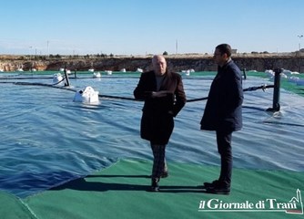 Caso Guadagnuolo, il Comitato bene comune: «La sua difesa incrina il rapporto di fiducia fra cittadini e sindaco di Trani»