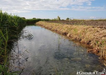Nasce a Trani l’associazione “Fra storia e natura”. Prima iniziativa, sabato prossimo al lido spiaggia Verde