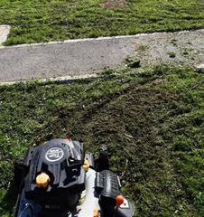 Gestione provvisoria delle strutture sportive di Trani, affidata alla Fortitudo quella del PalaAssi. Già in corso i primi lavori