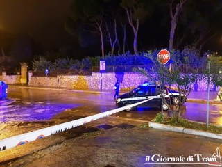 Grosso pino a rischio caduta: Trani, chiuso alla circolazione il tratto finale di via Malcangi