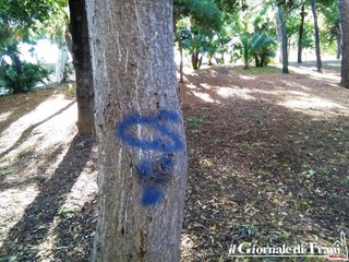 La villa di Trani e quel verde «segnato»: fra tagli e grafomani, il boschetto perde pezzi. E le giostrine rotte sono ancora lì