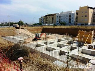 Oneri del contratto di quartiere, è ufficiale: il Comune di Trani vince al Consiglio di Stato e recupera oltre un milione di euro dall'impresa Manna