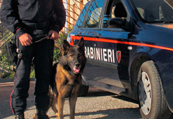 Trani, sorpreso con tre chili di tritolo in mano. Ne aveva altri dieci in casa. Arrestato 66enne