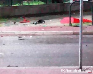 Trani centro, la barriera divelta adesso è sicura: riaperta la circolazione sulla strada sottostante il viadotto