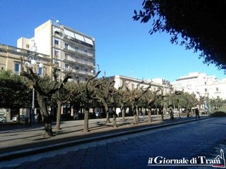 Consiglio comunale di Trani, nei preliminari tutti esperti di potatura. Barresi accusa: «Nell'ufficio ragioneria, i dipendenti giocano al pc»