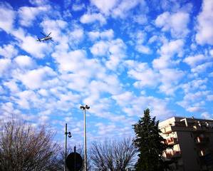 Operazione interforze fra Trani nord e centro storico: in campo Carabinieri, Polizia e Guardia di Finanza