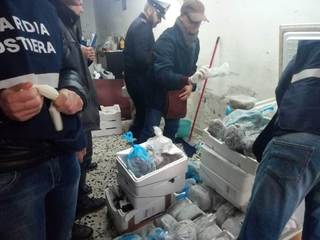 Controllo del prodotto ittico, a Bisceglie e Trani sequestrate 8 tonnellate di pesce non tracciabile