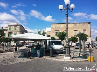 Verde pubblico e arredo urbano a Trani, l'assessore di Gregorio fa il punto