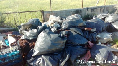 Deiezioni canine e abbandono rifiuti: il Comune sigla un accordo con Trani soccorso. Impegno di spesa, 7.000 euro