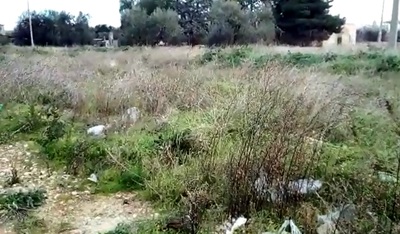 «Centrare le periferie»: a Trani, iniziati i lavori di bonifica e spianamento del terreno che sarà area mercatale