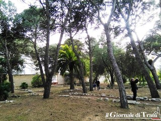 Trani, dopo il finanziamento, a villa Telesio arriverà l’illuminazione gratis. La dona Amet