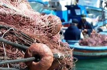 Gal Ponte Lama, finanziamenti per la vendita diretta di pesce. Possibilità anche per le imprese e cooperative di Trani