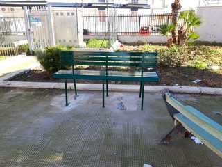 Decoro urbano a Trani, in piazza Salvo D'Acquisto nuove panchine e nuovo verde