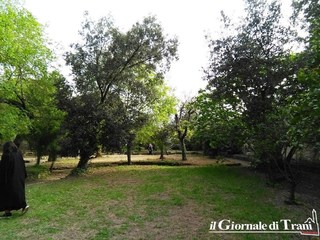 Villa Telesio a Trani, lavori straordinari e vigilanza. Spese per 6.000 euro circa