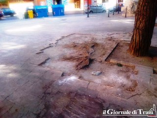 Trani, approvato il progetto per la manutenzione straordinaria nella pinetina di via Andria