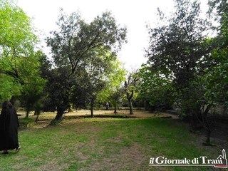 Verde a Trani, a villa Telesio e villa Bini se ne occuperà la ditta Stringaro
