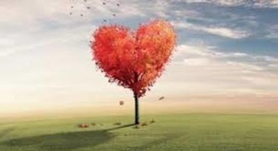 La sessualità nella disabilità, nuovo incontro oggi a Trani