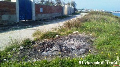 Trani, rifiuti tra Seconda spiaggia e lido Matinelle
