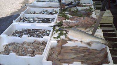 Gal Ponte Lama, pubblicato bando per i finanziamenti per la vendita diretta di pesce