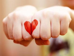 Donazione degli organi a Trani, dal 14 febbraio 2017 ad oggi i donatori sono 152