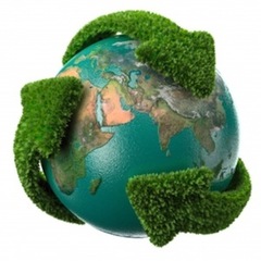 Movimento 5 stelle Trani: «Consulta ambientale, dall’amministrazione solo silenzio»