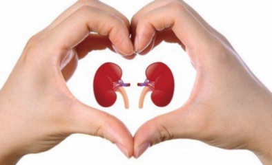 Prevenzione delle malattie renali, al Pta di Trani oggi “Porte aperte in nefrologia”