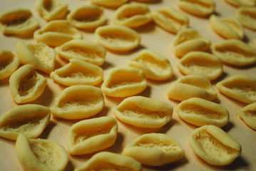 Domenica delle Palme, a Trani iniziative per 