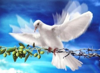 Pasqua, il messaggio dell'Arcivescovo di Trani