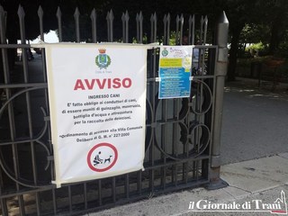 Vuole giocare con la palla del bimbo, ma il cane lo travolge e lo ferisce: Trani, attimi di paura in villa comunale