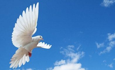 Santa Pasqua, una poesia di Filippo Ungaro