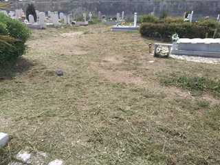 Cimitero di Trani, Barresi: «C’è troppo degrado». E Bottaro fa effettuare la bonifica