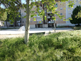 Quartiere Sant’Angelo di Trani, Branà (M5s): «Abbandonato al degrado e all'incuria. E negli alloggi di via Grecia, abita qualcuno»