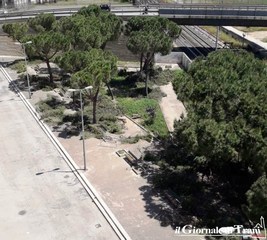 Trani, potature in corso in Largo Goldoni. E arriveranno le giostrine
