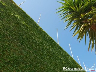 Terremoto a Trani, crepa sospetta dietro la gradinata dello stadio ma già c'era. Saranno eseguiti carotaggi e si estirperà il tappeto di edera
