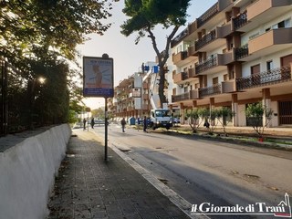 Trani, abbattuti altri tre alberi pericolanti
