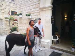 Bruno e l'asinella Salam, in cammino per la pace, hanno fatto tappa anche a Trani